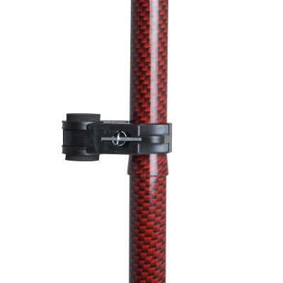 Stokkeholder, Frø